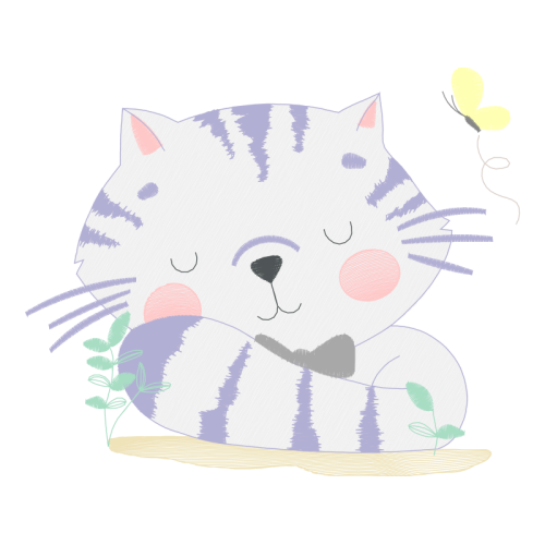 American Wirehair Animals American Wirehair Animals