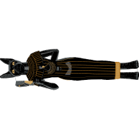 Anteaters Animals Anteaters Animals