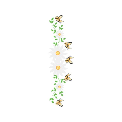 Argynnis Animals Argynnis Animals