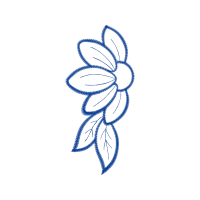 Art Animals Art Animals