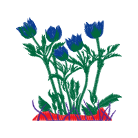 Art Animals Art Animals