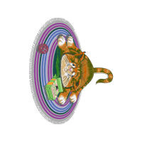 Art Animals Art Animals