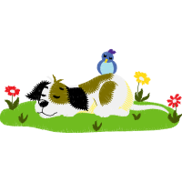 Art Animals Art Animals