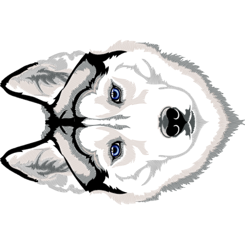 Art Animals Art Animals