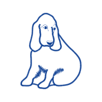 Art Animals Art Animals