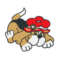 Art Animals Art Animals