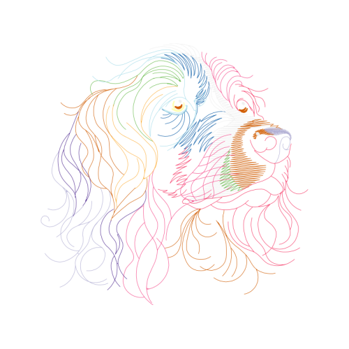 Art Animals Art Animals