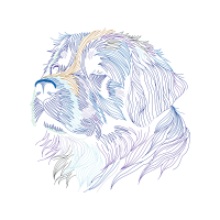 Art Animals Art Animals