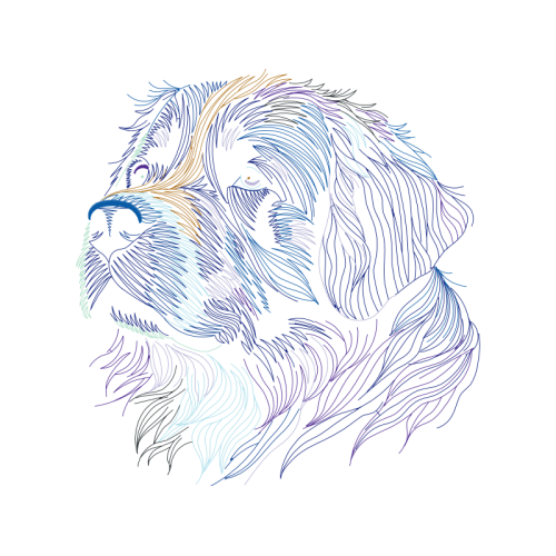 Art Animals Art Animals