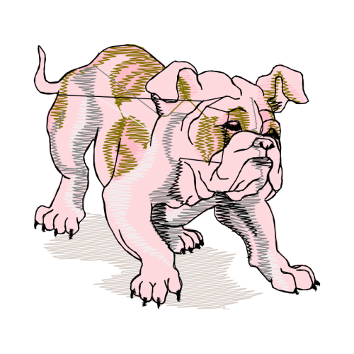 Art Animals Art Animals