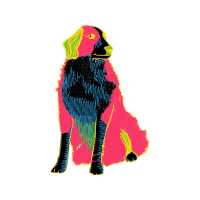 Art Animals Art Animals