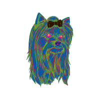 Art Animals Art Animals