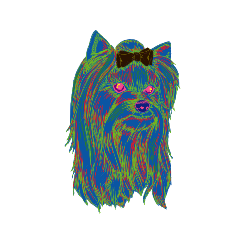 Art Animals Art Animals