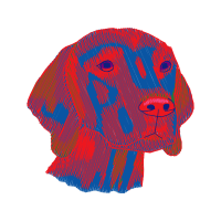 Art Animals Art Animals