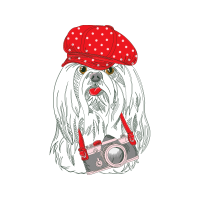 Art Animals Art Animals