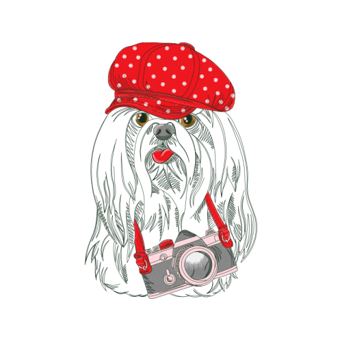 Art Animals Art Animals