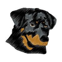 Art Animals Art Animals