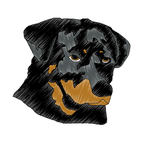 Art Animals Art Animals