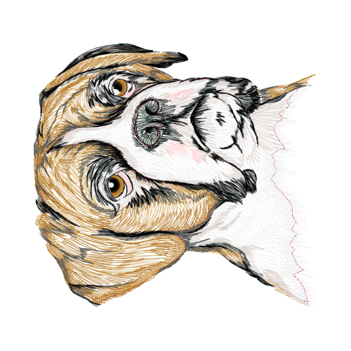 Art Animals Art Animals