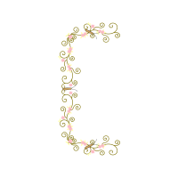 Art Animals Art Animals