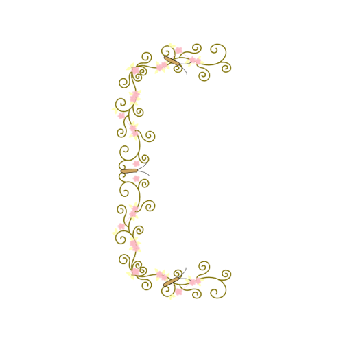 Art Animals Art Animals