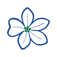 Art Animals Art Animals