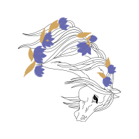 Art Animals Art Animals