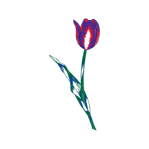 Art Animals Art Animals