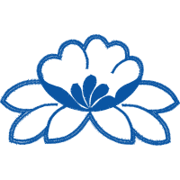 Art Animals Art Animals