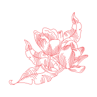 Art Animals Art Animals