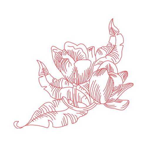 Art Animals Art Animals