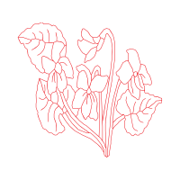 Art Animals Art Animals