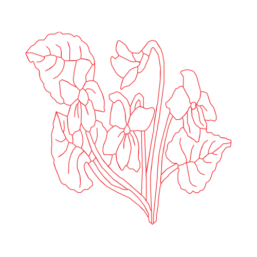 Art Animals Art Animals