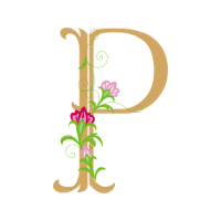 Art Animals Art Animals