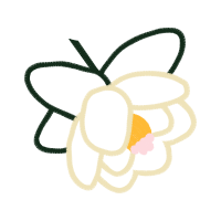 Art Animals Art Animals