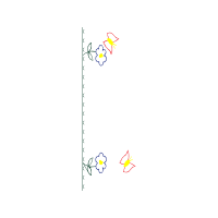 Art Animals Art Animals