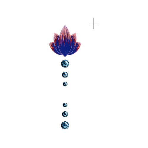 Art Animals Art Animals