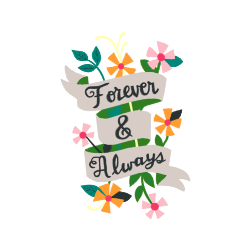 Art Animals Art Animals