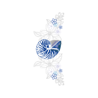 Art Animals Art Animals