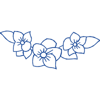 Art Animals Art Animals