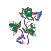 Art Animals Art Animals