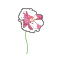 Art Animals Art Animals