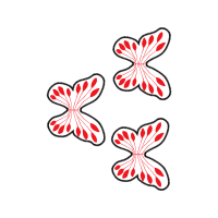 Art Animals Art Animals