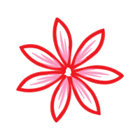 Art Animals Art Animals