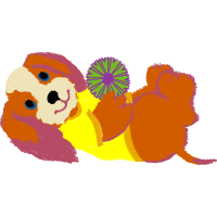 Art Animals Art Animals