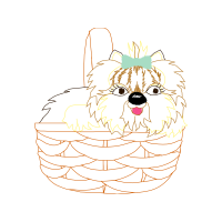 Art Animals Art Animals