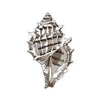 Art Animals Art Animals