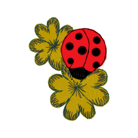 Art Animals Art Animals