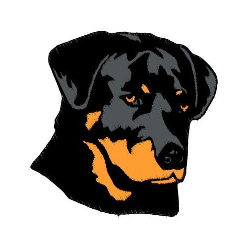 Art Animals Art Animals