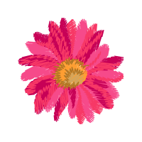 Aster Animals Aster Animals